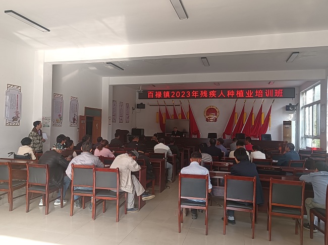 百禄镇：暖心培训 ，让残疾人“有爱无碍” .jpg