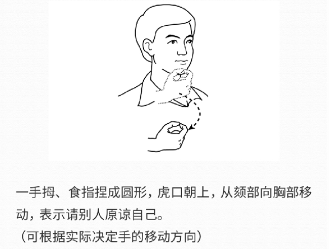 请原谅_副本.png